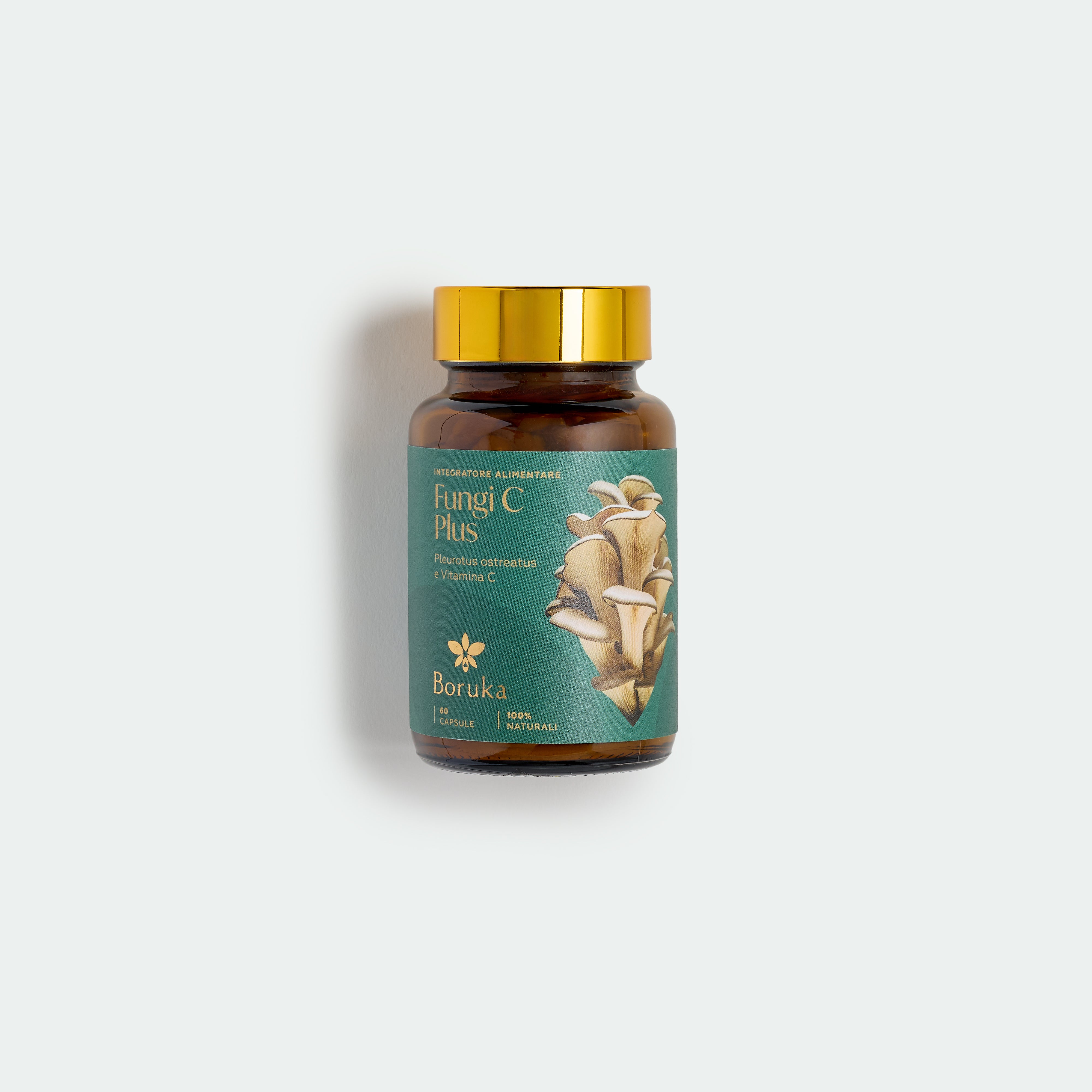 Fungi C Plus