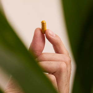 Curcuma Balance