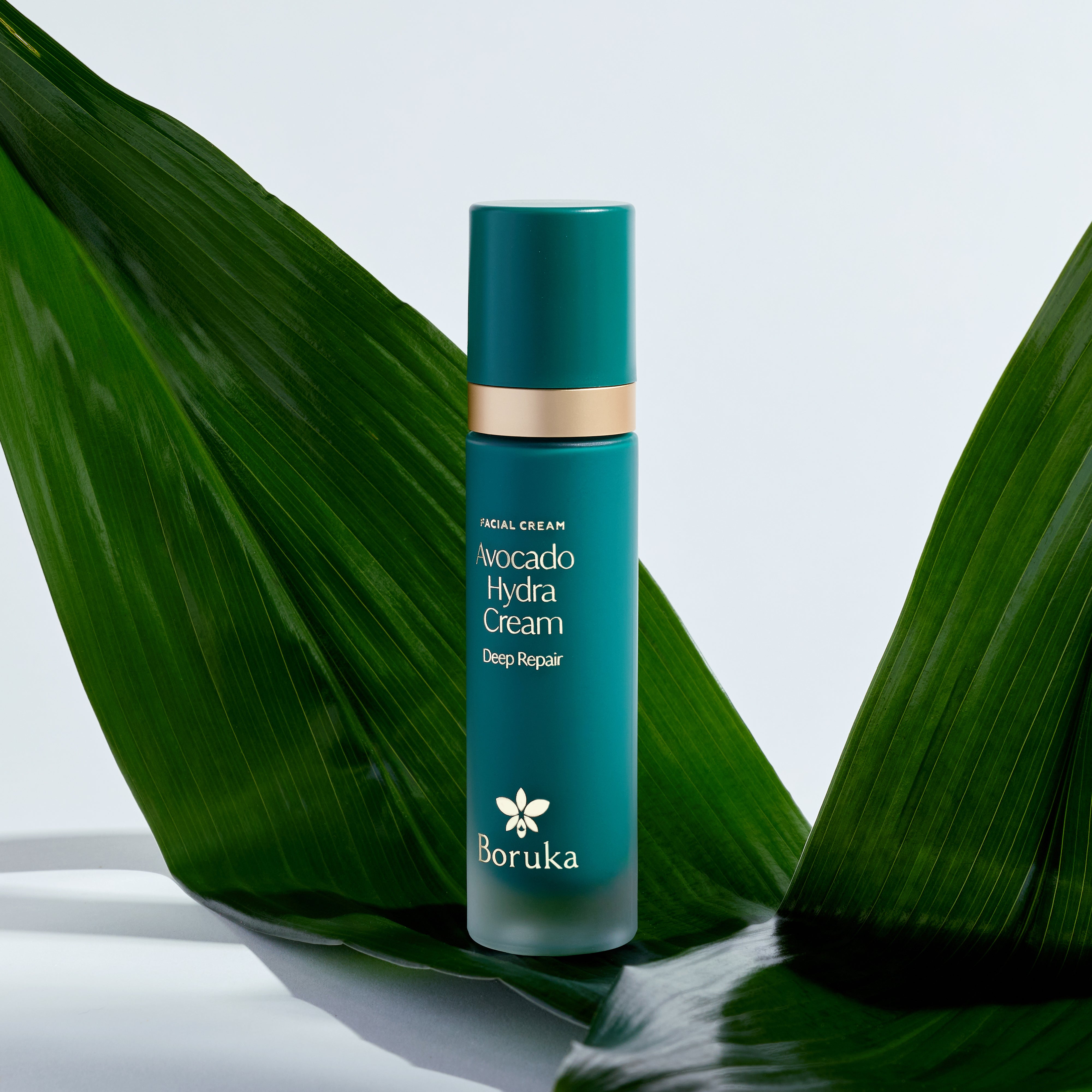 Avocado Hydra Cream