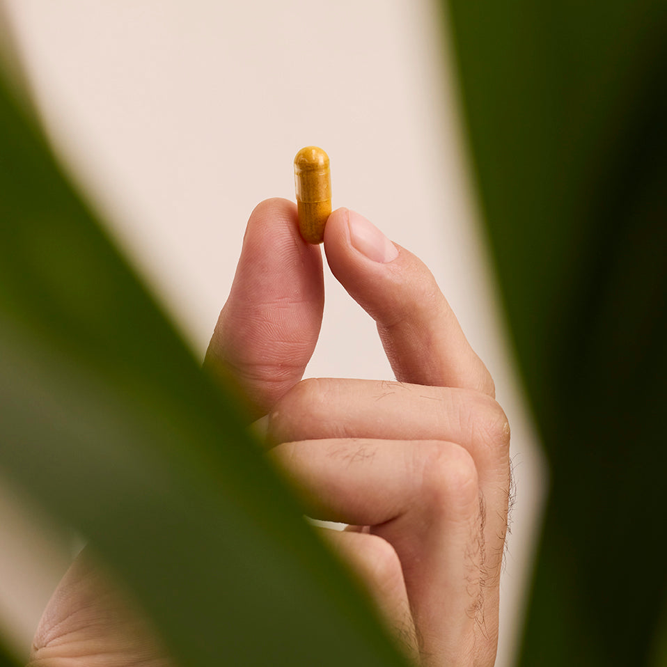 Curcuma Balance